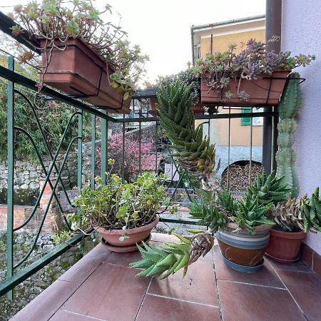 Tra Alpi Apuane E Cinque Terre.. Casetta Renata! Villa Valeriano Lunense Dış mekan fotoğraf