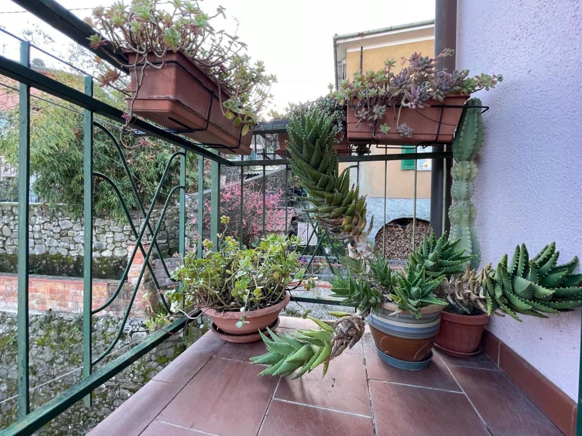 Tra Alpi Apuane E Cinque Terre.. Casetta Renata! Villa Valeriano Lunense Dış mekan fotoğraf